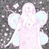 Gypsophila_8488