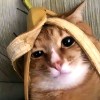 魔性帅哥