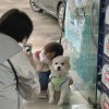 cp朴贤
