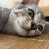 夢ぉ遺～
