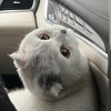 Allen_3471