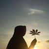 友人A的悲傷