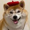 另类灬风之