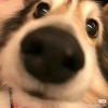 恨みがあまりに深く