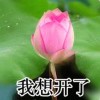 　。Axio