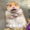 用戶頭像