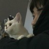 奈何桥上唱征服_5044