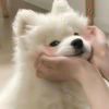 那年_那天の我们^.^Wǒ^.^