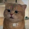 i゛