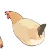 北音