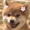 【“爱转角”】