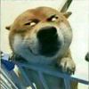 让寂寞更了解
