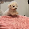 他是阳光深拥必伤_9860