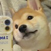 ]_[]_[]_[