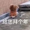 个性代号℡
