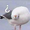 ブOnce缒憶丨輝湟丿[—^£