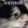 不抱怨的格子