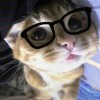 ^.^随波逐流^.^