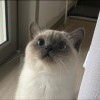 酸你妈呢