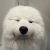 指尖清风