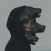 △ 丑豬角°