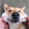 勉强@