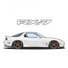 pitbull_8119