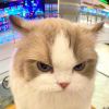 看什么看二锅头。