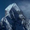 竹叶青_4429