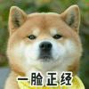 用戶頭像