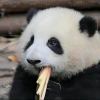 以女王的霸气俯视天下_5387