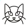 猫不理