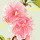 每每2009