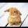 。。。。。。