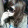  ゛Miss.5   