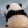网名