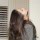 Aileen