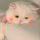 画眉