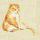 猪是的念来过倒