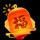 奋斗