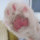 小肉爪227