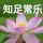 小呢子