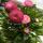 笔芯丢了