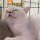 发错v吧