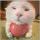 怪我太坏