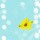 迎春flower