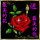 冰临天下