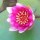 花落无声