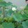 huagong123456