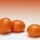 orange橘子4